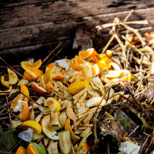 Organic waste in compost bin